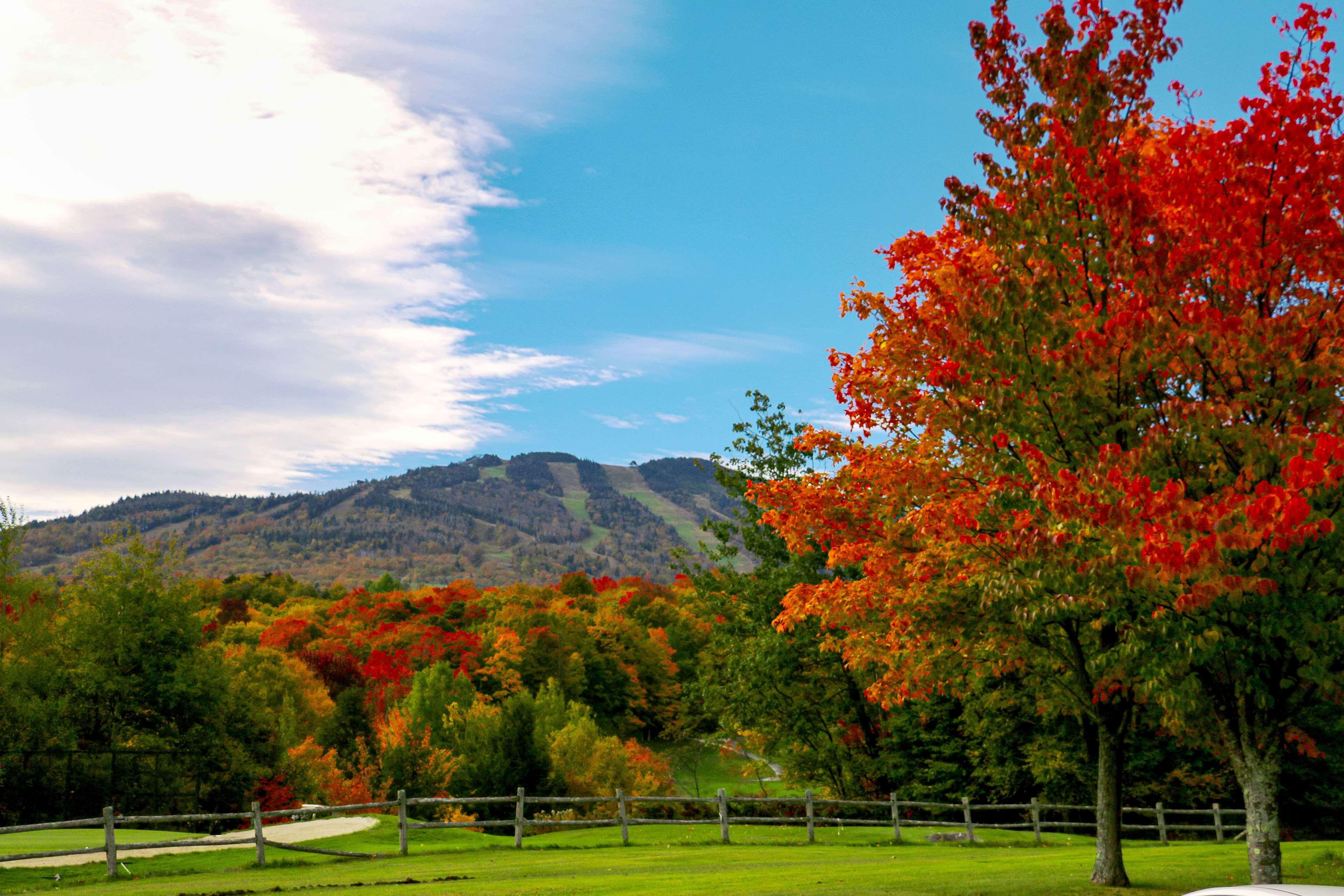 Killington Mountain Lodge, Tapestry Collection By Hilton Exterior photo